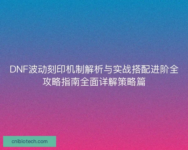DNF波动刻印机制解析与实战搭配进阶全攻略指南全面详解策略篇