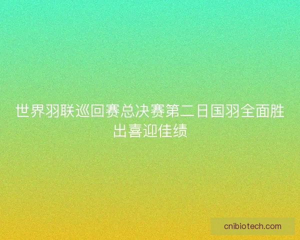 世界羽联巡回赛总决赛第二日国羽全面胜出喜迎佳绩