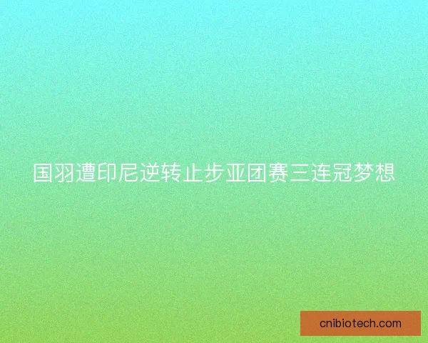 国羽遭印尼逆转止步亚团赛三连冠梦想