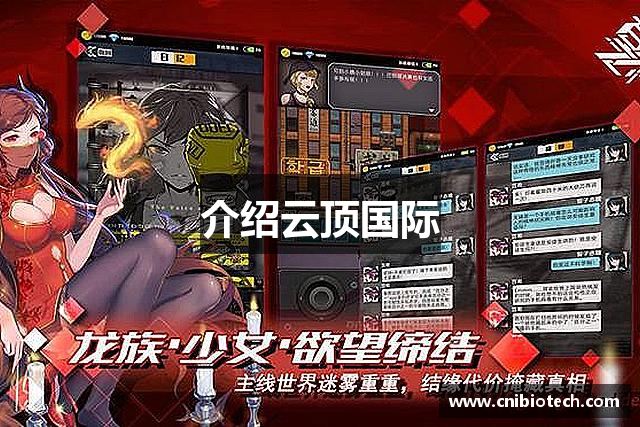 介绍云顶国际